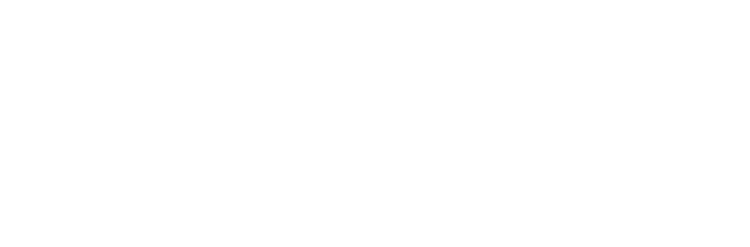 Argus Corporate Partners
